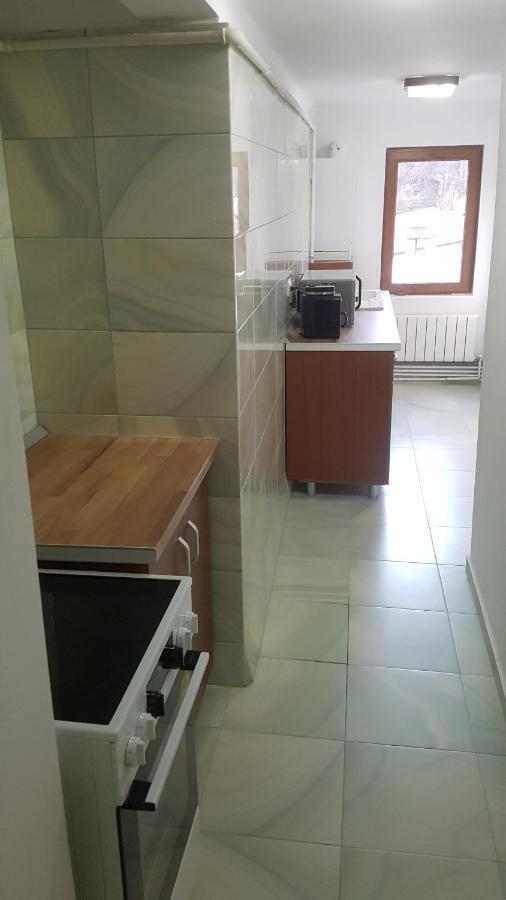 סינאיה Apartament Greenstar מראה חיצוני תמונה